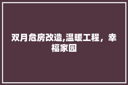 双月危房改造,温暖工程，幸福家园