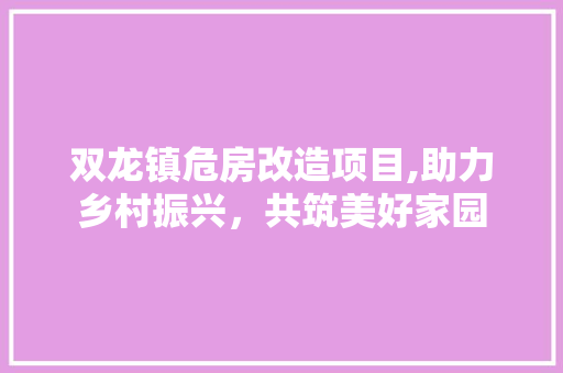 双龙镇危房改造项目,助力乡村振兴，共筑美好家园