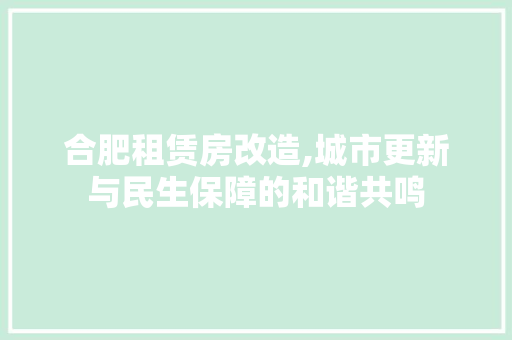 合肥租赁房改造,城市更新与民生保障的和谐共鸣