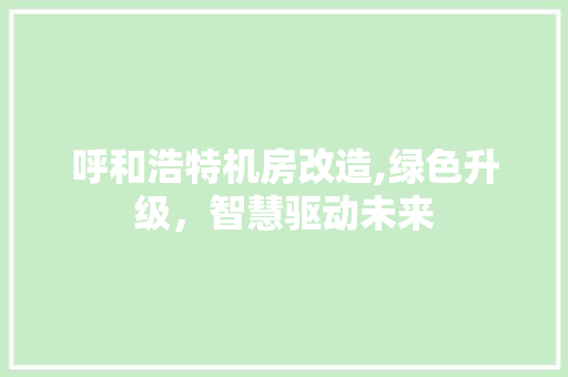 呼和浩特机房改造,绿色升级，智慧驱动未来