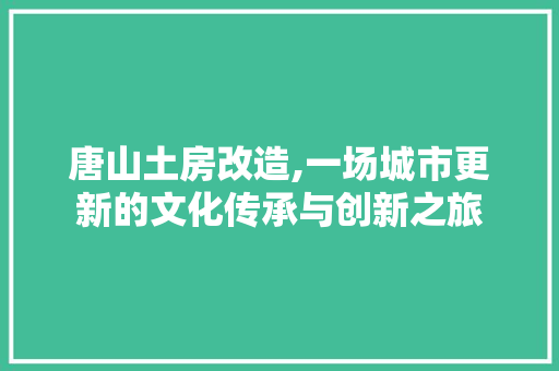 唐山土房改造,一场城市更新的文化传承与创新之旅
