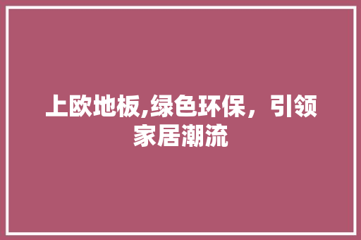 上欧地板,绿色环保，引领家居潮流
