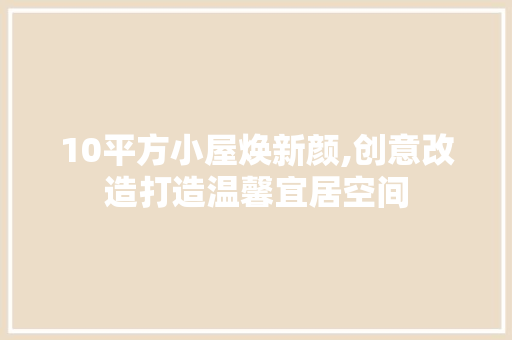 10平方小屋焕新颜,创意改造打造温馨宜居空间 新型材料