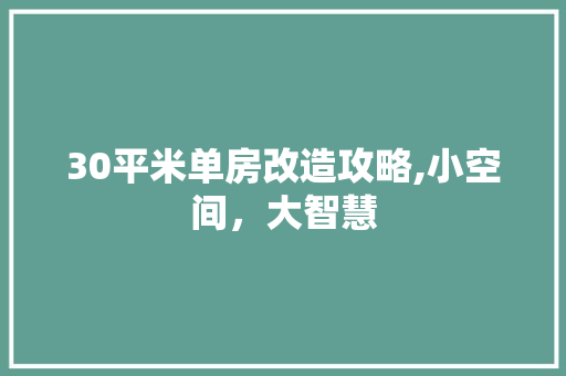 30平米单房改造攻略,小空间，大智慧 工艺流程