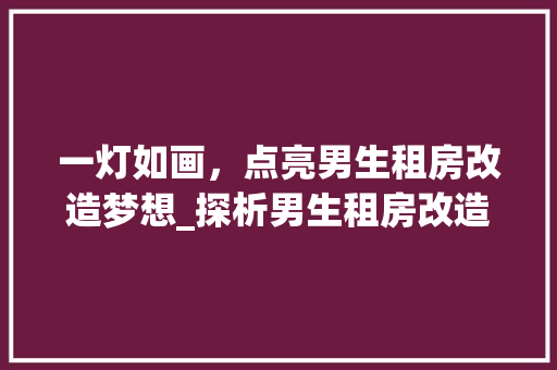 一灯如画，点亮男生租房改造梦想_探析男生租房改造灯的魅力与方法 设计原则