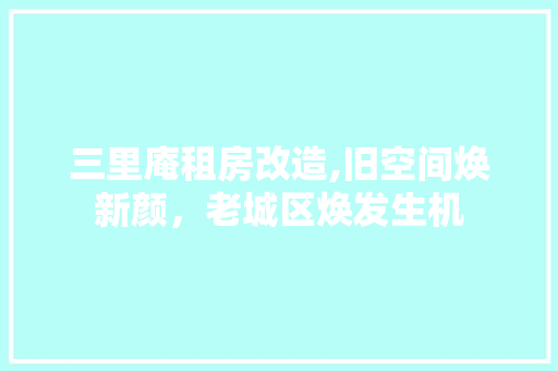 三里庵租房改造,旧空间焕新颜，老城区焕发生机 常用建材
