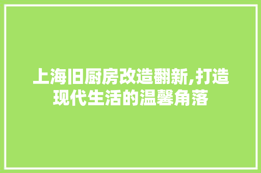 上海旧厨房改造翻新,打造现代生活的温馨角落 生态建筑设计