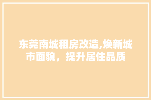 东莞南城租房改造,焕新城市面貌，提升居住品质