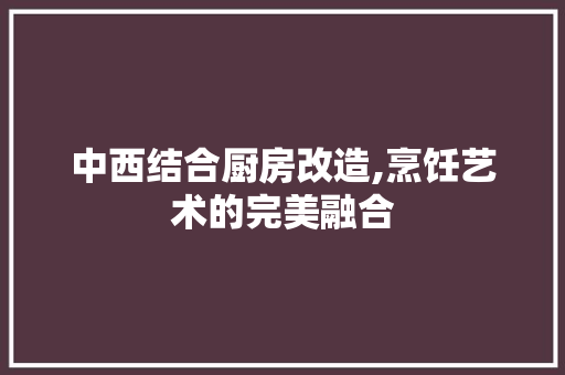 中西结合厨房改造,烹饪艺术的完美融合