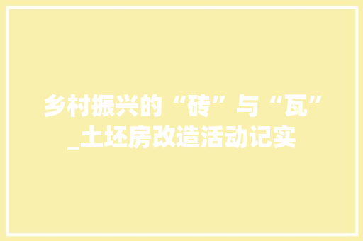 乡村振兴的“砖”与“瓦”_土坯房改造活动记实 建筑设计