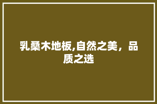 乳桑木地板,自然之美，品质之选 建筑法规