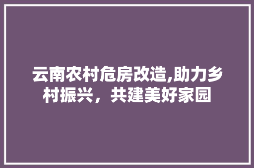 云南农村危房改造,助力乡村振兴，共建美好家园