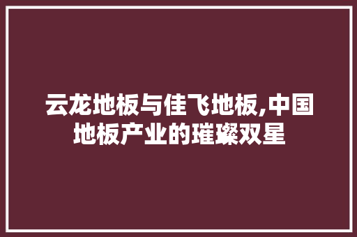 云龙地板与佳飞地板,中国地板产业的璀璨双星