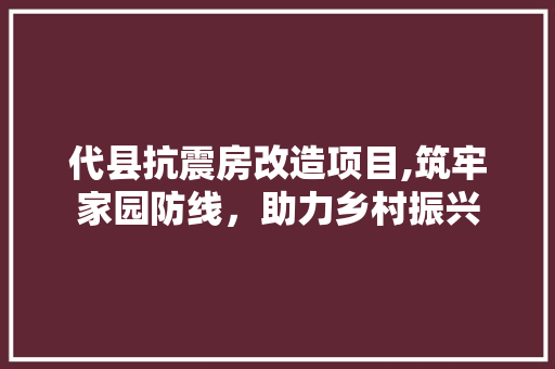 代县抗震房改造项目,筑牢家园防线，助力乡村振兴