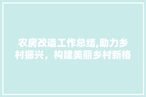 农房改造工作总结,助力乡村振兴，构建美丽乡村新格局 材料设备