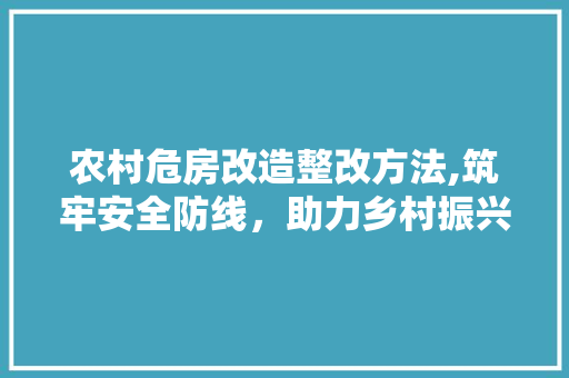 农村危房改造整改方法,筑牢安全防线，助力乡村振兴