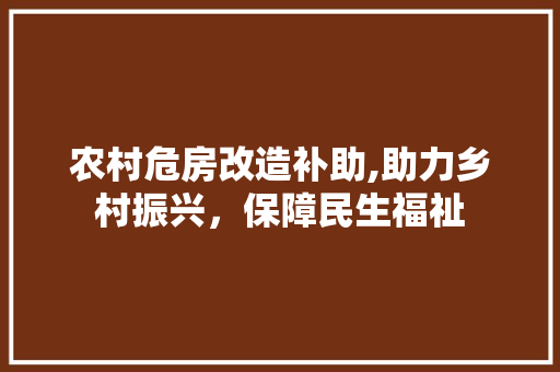 农村危房改造补助,助力乡村振兴，保障民生福祉 常见问题