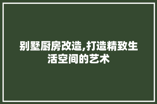 别墅厨房改造,打造精致生活空间的艺术