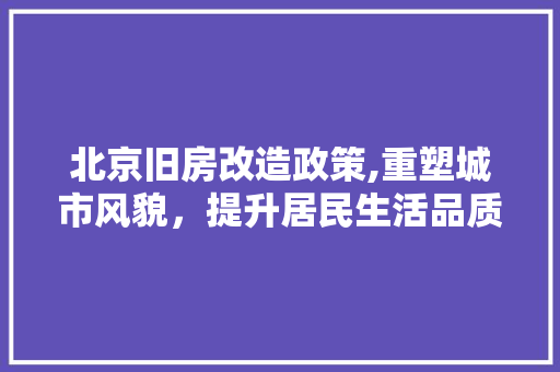北京旧房改造政策,重塑城市风貌，提升居民生活品质
