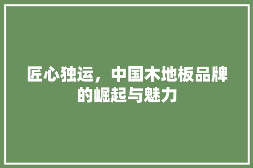 匠心独运，中国木地板品牌的崛起与魅力
