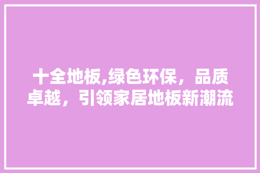 十全地板,绿色环保，品质卓越，引领家居地板新潮流