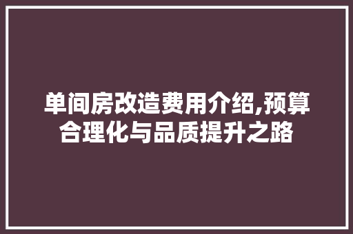 单间房改造费用介绍,预算合理化与品质提升之路