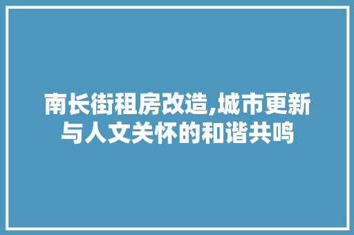 南长街租房改造,城市更新与人文关怀的和谐共鸣 常用建材