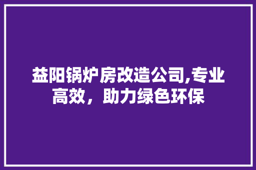 益阳锅炉房改造公司,专业高效，助力绿色环保