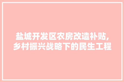 盐城开发区农房改造补贴,乡村振兴战略下的民生工程