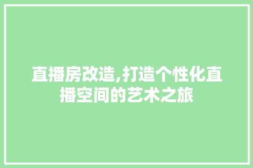 直播房改造,打造个性化直播空间的艺术之旅