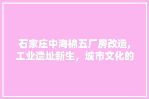 石家庄中海棉五厂房改造,工业遗址新生，城市文化的传承与创新