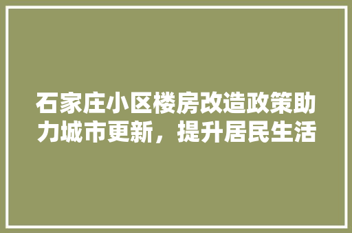 石家庄小区楼房改造政策助力城市更新，提升居民生活品质