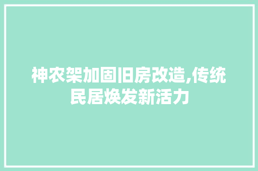 神农架加固旧房改造,传统民居焕发新活力