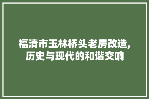 福清市玉林桥头老房改造,历史与现代的和谐交响