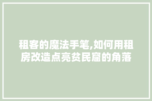 租客的魔法手笔,如何用租房改造点亮贫民窟的角落
