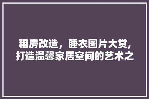 租房改造，睡衣图片大赏,打造温馨家居空间的艺术之旅