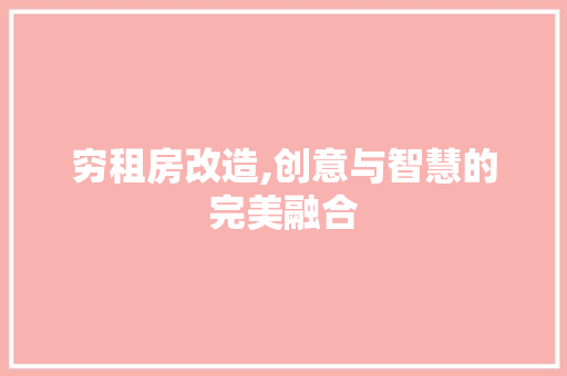 穷租房改造,创意与智慧的完美融合