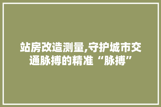 站房改造测量,守护城市交通脉搏的精准“脉搏”
