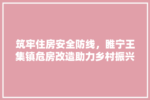 筑牢住房安全防线，睢宁王集镇危房改造助力乡村振兴