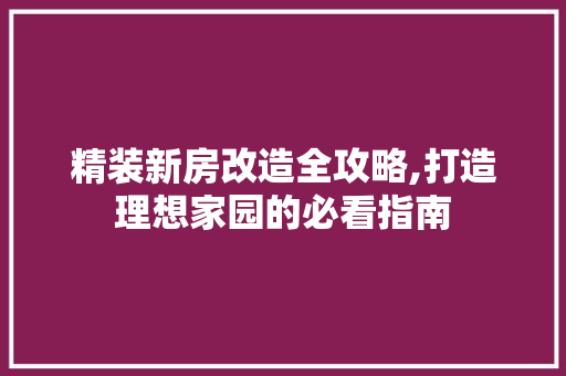 精装新房改造全攻略,打造理想家园的必看指南