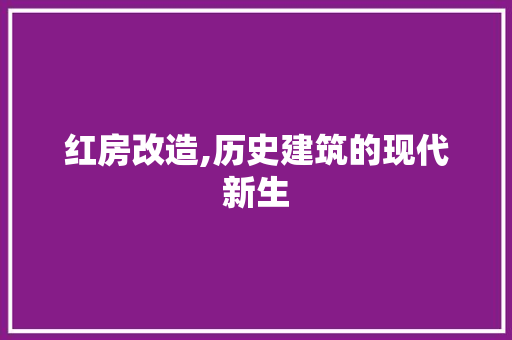 红房改造,历史建筑的现代新生