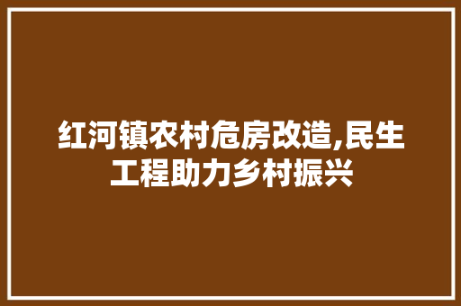 红河镇农村危房改造,民生工程助力乡村振兴
