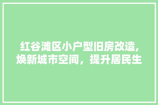 红谷滩区小户型旧房改造,焕新城市空间，提升居民生活品质