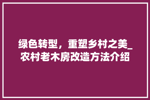 绿色转型，重塑乡村之美_农村老木房改造方法介绍