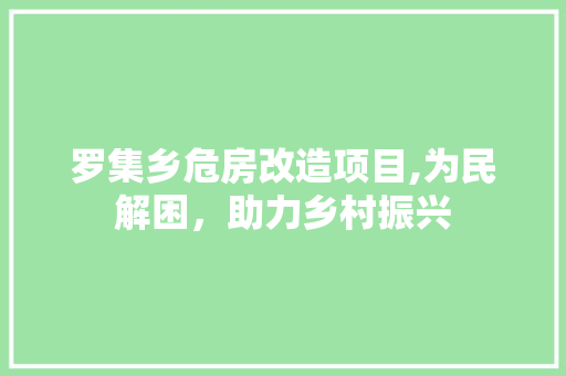 罗集乡危房改造项目,为民解困，助力乡村振兴