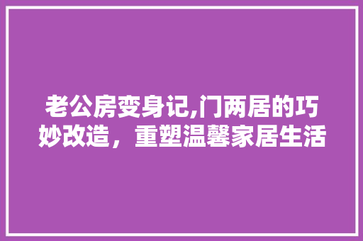 老公房变身记,门两居的巧妙改造，重塑温馨家居生活