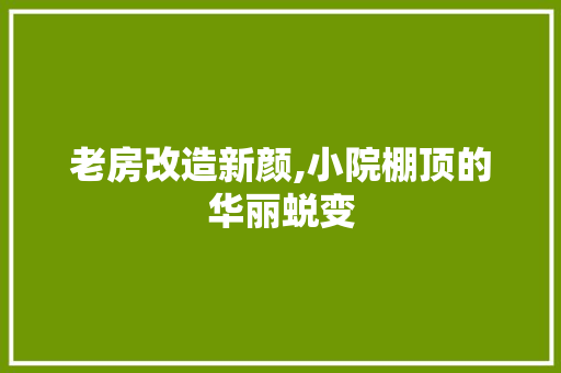 老房改造新颜,小院棚顶的华丽蜕变