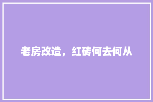 老房改造，红砖何去何从