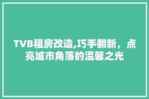 TVB租房改造,巧手翻新，点亮城市角落的温馨之光 施工技术