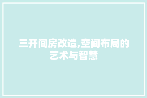 三开间房改造,空间布局的艺术与智慧